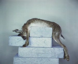 Richard Learoy, Breeze Blocks with Hare, 2007